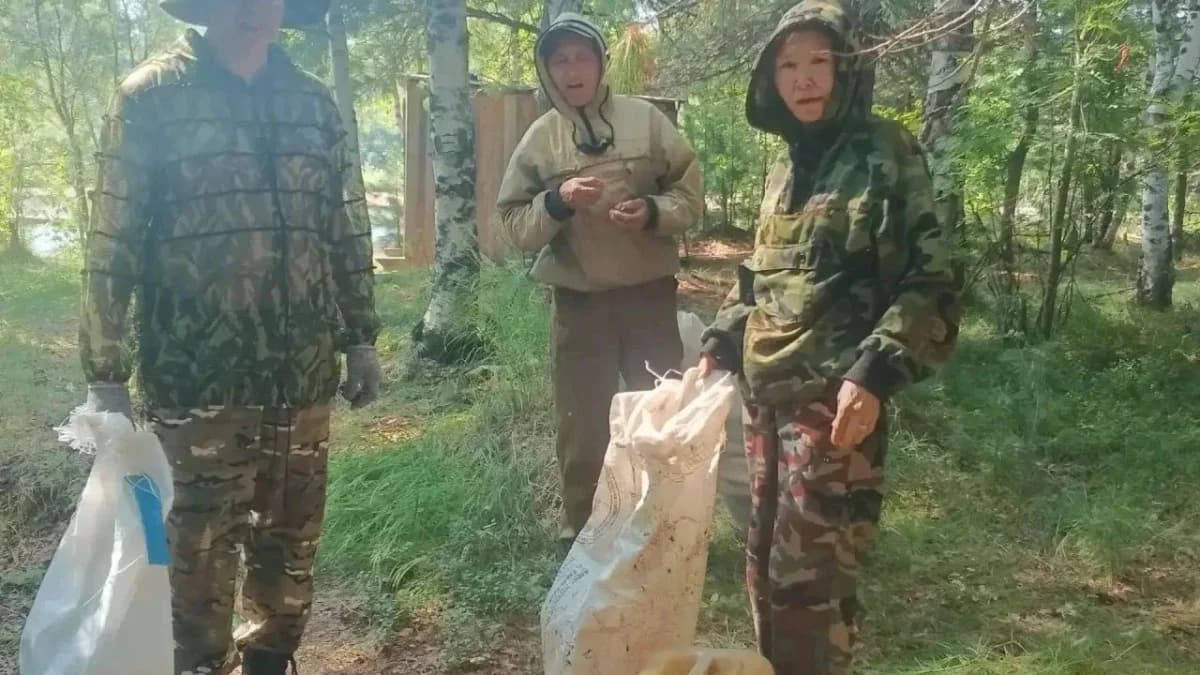 Два в одном: жители Тольки провели субботник и запаслись дровами