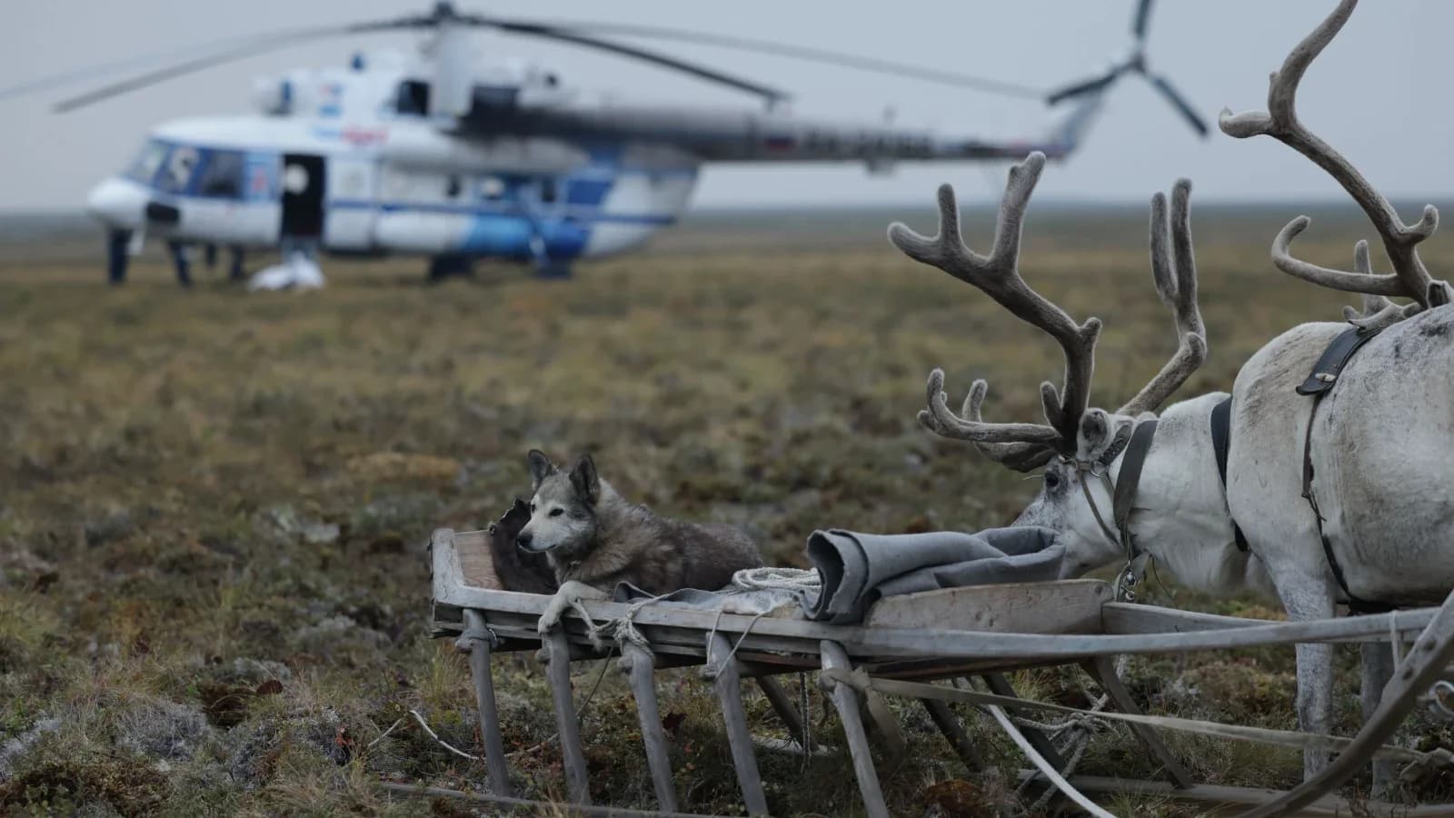 Дорога к знаниям: больше 100 детей пуровских кочевников доставили к местам учебы